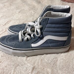 Vans Navy Suede Skate Shoes with White Stripe